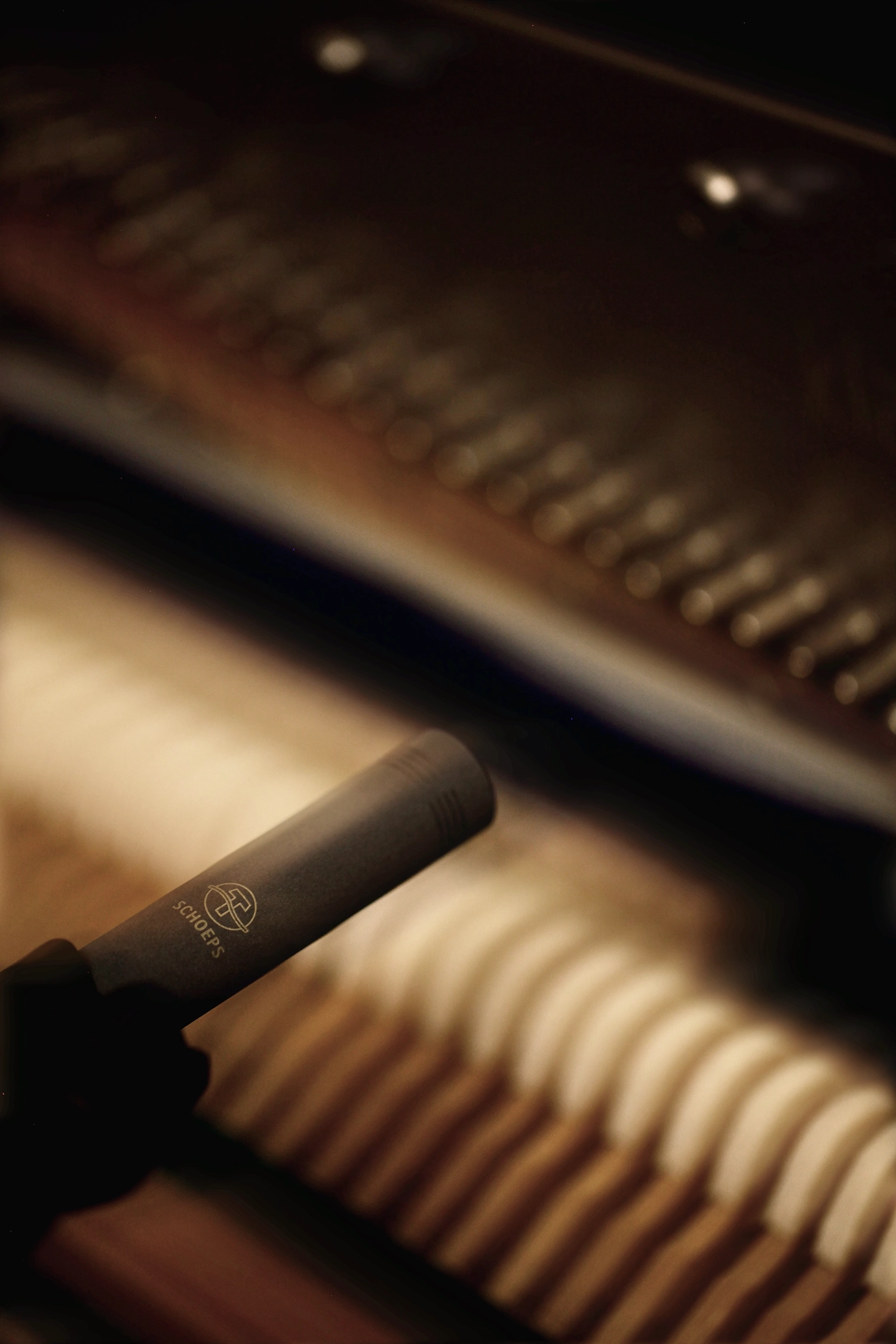Recording process with Schoeps microphones of AEVAL Felt Piano